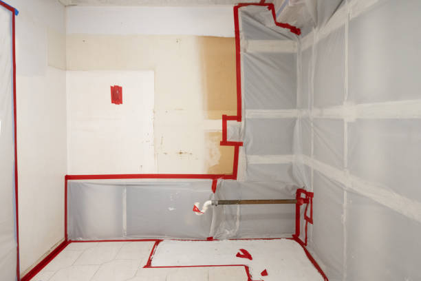 Best Biohazard Mold Removal  in Chesapeake, OH